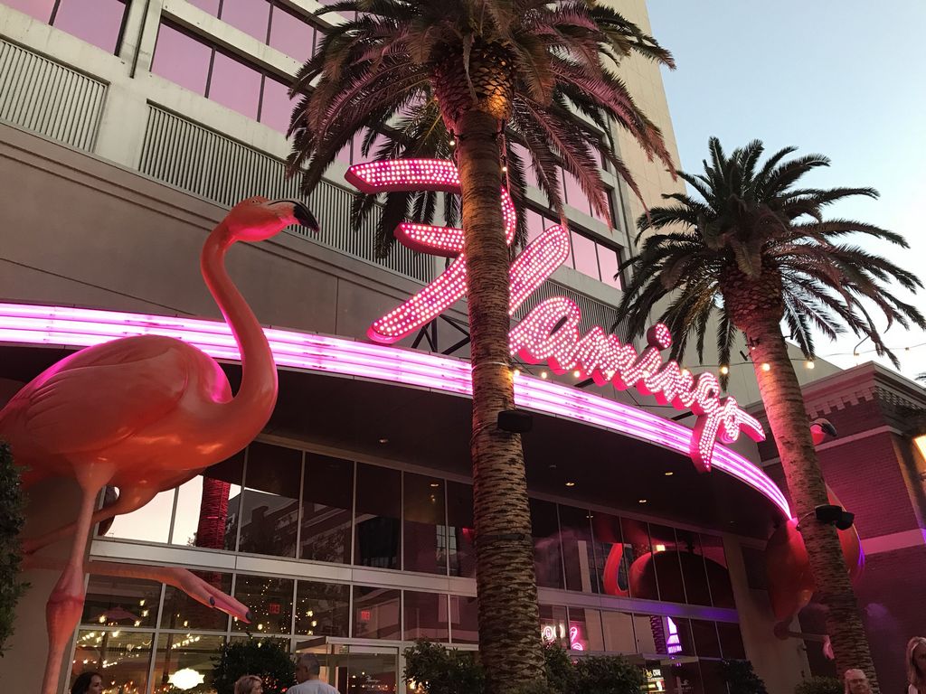Flamingo Casino site uses ports, table games and home entertainment in Kimberley Flamingo Casino site uses ports, table games and home entertainment in Kimberley